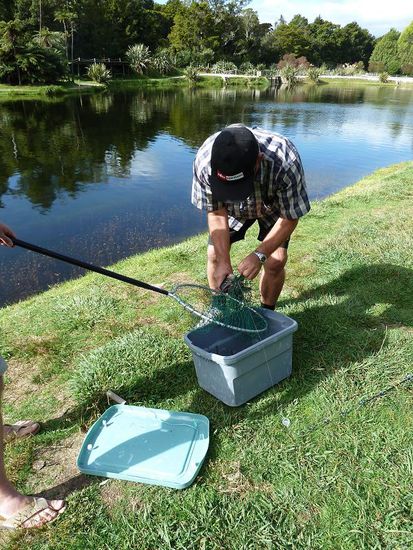 Ein Kiwi kam uns (GOTT SEI DANK!!!) zu Hilfe und erledigte den unangenehmen Teil der Angelei..