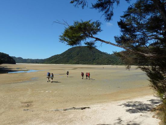 Wattüberquerung in Awaroa. Wegen der Tide ist man an bestimmte Zeiten gebunden, aber wir machten hier wieder kehrt und liefen zurück nach Totaranui. 
Denn am naechsten Tag wollten wir von Kaiteri (südlicher Ausgangspunkt, nahe Marahau) aus mit dem Wassertaxi zur Anchorage Bay hoch fahren und von da aus 12km zu einer kleinen Bucht laufen, wo man uns wieder abholen sollte.