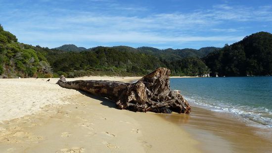 irgendwie komisch, wie der dahin kommt. Extremer Seegang? Fehlanzeige...