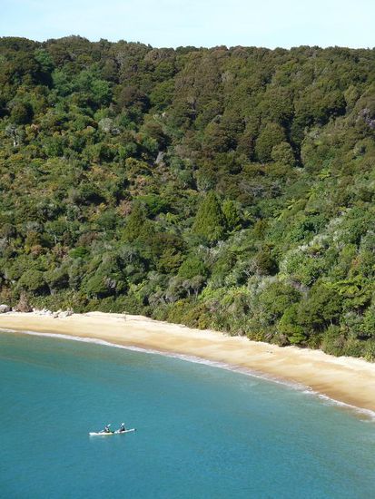 Dann gings los. Wir wanderten auf dem schön bewaldeten Track entlang und eigentlich sieht man die ganze Zeit nur das hier:  fast einsame Buchten, kristallklares Wasser und gelben Sand... es könnte wirklich schlimmer sein..