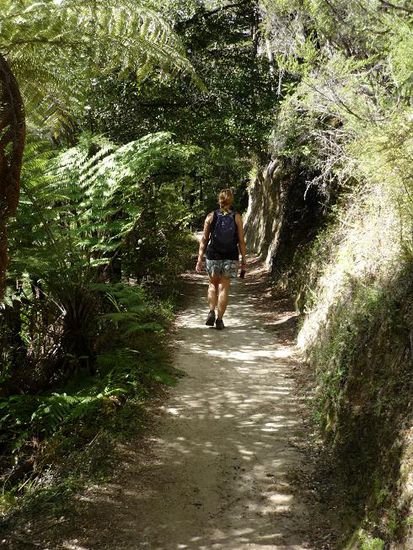 Und wenn man mal nicht auf eine Bucht hinausschaut, läuft man durch den Wald.....ja das macht diesen Track eigentlich aus...Strand und Wald...
Diese Strecke wird auch gern als "Wanderautobahn" bezeichnet, weil hier sonst hunderte Touris langwandern Aber wir haben ja die Hochsaison bereits verpasst und somit auch die Menschenmassen, zumindest an diesem Tag..