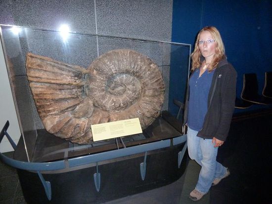 des is aber ne große Muschel