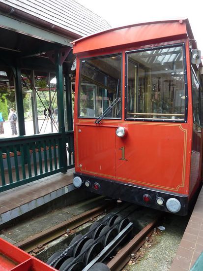 Ein NZ-Institution: das Cable Car. Gehört noch heute mit zum Netz der öffentlichen Verkehrsmittel und brachte uns zum Botanischen Garten.