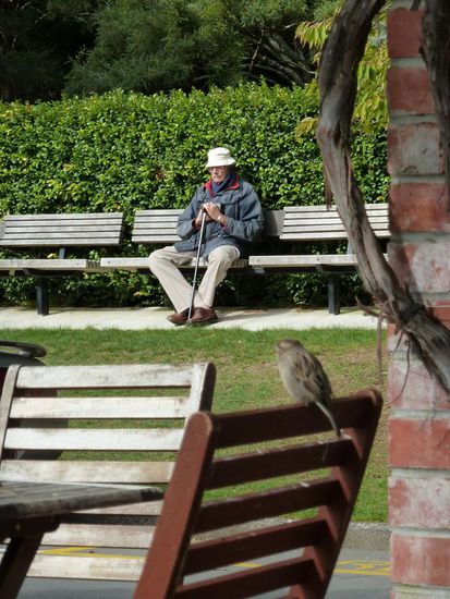 Alter Mann mit Hut (und Piepmatz)