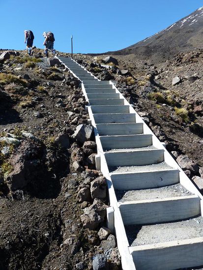 Da freut sich der Gluteus Maximus....