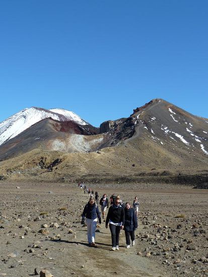 Einige der hundert Gefährten