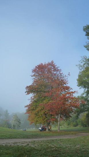 Langsam wirds Herbst