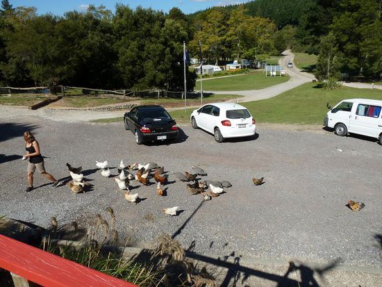 So viele neue Freunde