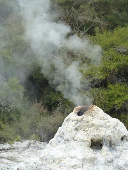 Der zu bestaunende Geysier..