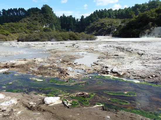 Ein Wunder, dass die Algen es hier ausshalten. Das sind nämlich die einzigen "Lebewesen" im Gewässer