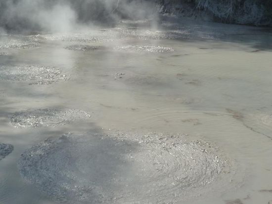 Danach gings dann kurz zu den Schlammpools. Die riechen nicht weniger streng, sind aber lustig anzusehen und -zuhören.