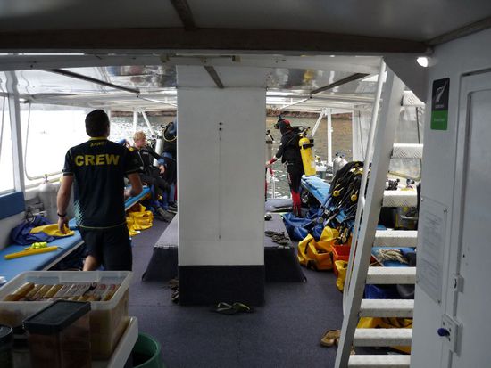 Hektik an Board vor dem zweiten Tauchgang. Insgesamt waren 17 Taucher mit an Board.