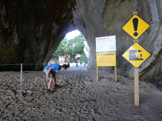 Der gefährlich Weg durch das...