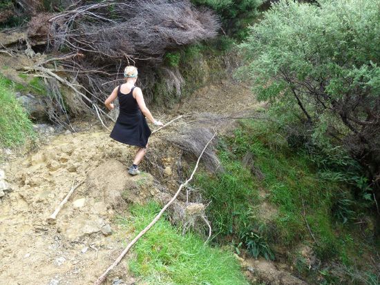 ... kamen einige Bäche den Berg runter, die sonst nicht da sind. Also hieß es sich seinen eigenen Weg suchen.