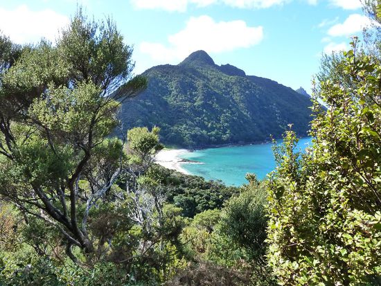 Bei einer Wanderung durch die Whangerei Heads.
