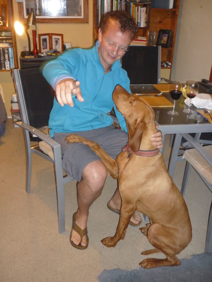 Alex neuer Freund: Hunter, knapp 1 Jahr alt und entsprechend wild