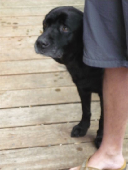 Lieder unscharf und trotzdem zum Knuddeln gemacht: Moses aka Mr Momo
Doch dann hieß es Abschied nehmen von diesem home away from home. Übrigens erhielt meine schwarze Fleecejacke ebenfalls den Namen Mr Momo, aufgrund des Duftes, der von ihr ausging 
Jetzt gehts zum Cape Reinga, in den nördlichsten Norden Nzs