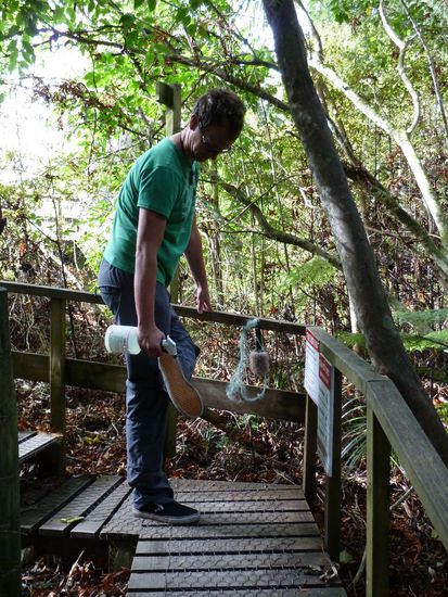 ogg MAßnahmen: Schuhe putzen