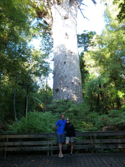 Das ist Tane Mahuta, um die 2000Jahre alt...