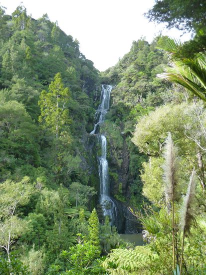 Am Sonntag nach Frühstück und Besteigung des Lionrock ging es zum versteckten Wasserfall. War übrigens einer der größten, die wir gesehen haben.