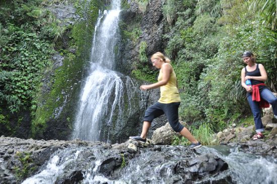 In Neuseeländischer Manier ging der markierte Weg über den Abfluss des Wasserfalls. Und da einer von uns auf die Idee kam, da mal hochzuklettern bzw. den Weg außenrum zu nehmen, konnten wir uns gemütlich an...