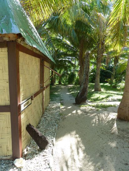 Trampelpfad zur Dusche und Klos.