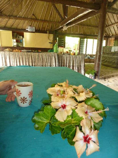 jeden Tag gabs frische Blümis