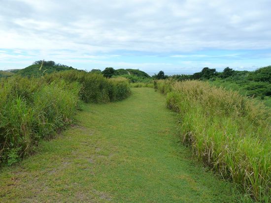 Am nächsten Tag gings zu den Sanddünen, DIE Attraktion in Sigatoka. Der Wallk durch den Nationalpark sollte 2h dauern. Durch Zufall bekamen wir sogar einen Guide.