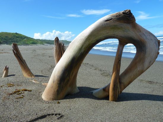 Wir liefen dann ca 1km am Strand entlang, bevor es wieder in den Wald bzw Schatten ging.