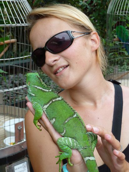 Ich glaube, er fand meine Hand ziemlich bequem