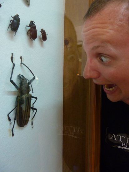 Alex entschied sich für die sichere Variante.