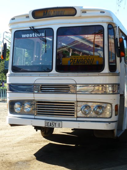 Lets get on the bus!!!