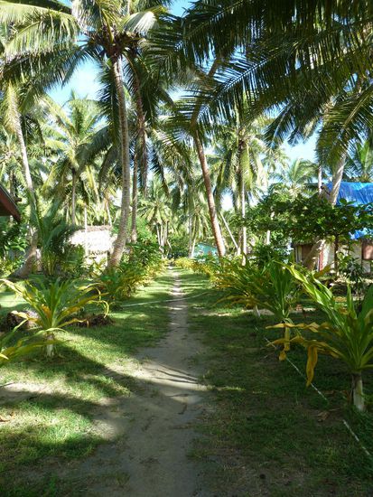 der Gang Richtung Haupthaus, wo wir 3mal am Tag verköstigt wurden. Morgens gabs Cornflakes, Obst &amp; Kaffee/Tee. Zum Mittag- und Abendessen meist Reis mit Gemüse