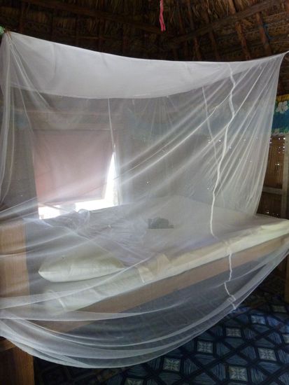 Von innen. Auf diesem Bild siehts ganz annehmbar aus