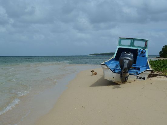 Auf der Insel gabs auch einige lustige tierische Mitbewohner. Neben 6 weiteren menschlichen Gästen gabs auch 2 Inselhunde, die uns regelmäßig Gesellschaftgeleistet haben.
