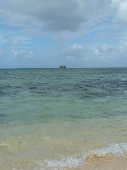 In der Nähe "unserer" Insel lag Snake Island. Dorthin gelang man nur bei Ebbe. Allerdings sollte man dabei Riffschuhe tragen, um sich nicht an den Korallen weh zu tun. Haben wir leider nicht geschafft. In dem Moment wo wir das Bild machten, dachten wir "Ach machen wir morgen..."  Morgen kam zwar, aber der Regen auch...