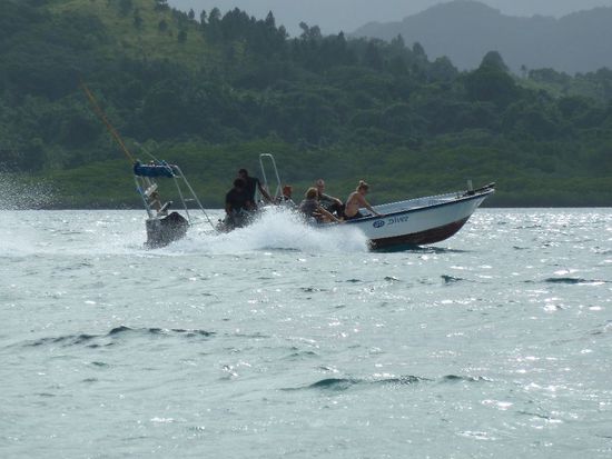 Alex auf dem Weg zum Tauchspot. Dank der Unterwasserkamera des Tauchlehrers entstanden diese tollen Aufnahmen:
