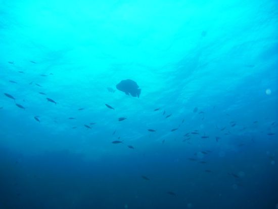 Schöne Sicht auf "Namen vergessen"... War ca. 70cm lang.
