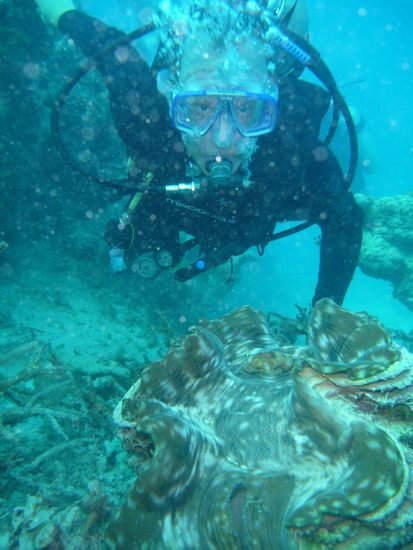 Wenn man gaaaaanz nah ranschwimmt, wird die Klappe zu gemacht