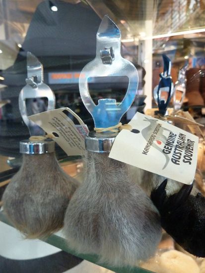 So ein Känguruskrotum ist doch auch mal ein tolles Souvenir, aber nein es wurde nicht Teil unserer Sammlung...