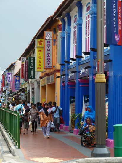 Singapurianer stehen auf bunt!