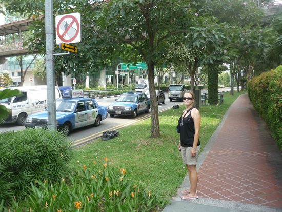 Bitte nicht die Grünfläche betreten!!