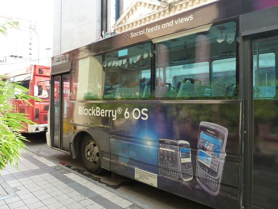 Das Durchschnittseinkommen beträgt grad mal ein paar hundert €, aber Werbung für Blackberry gibts überall...