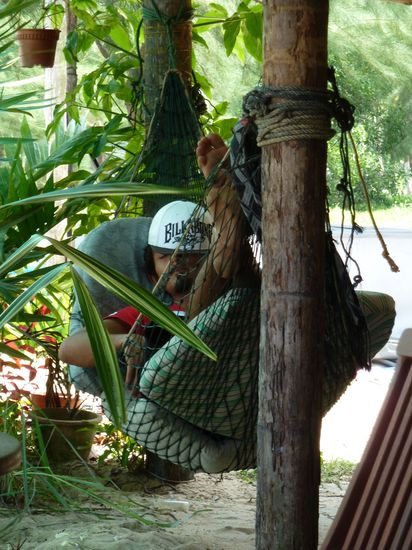 Jetzt tummelt man in der Hängematte 