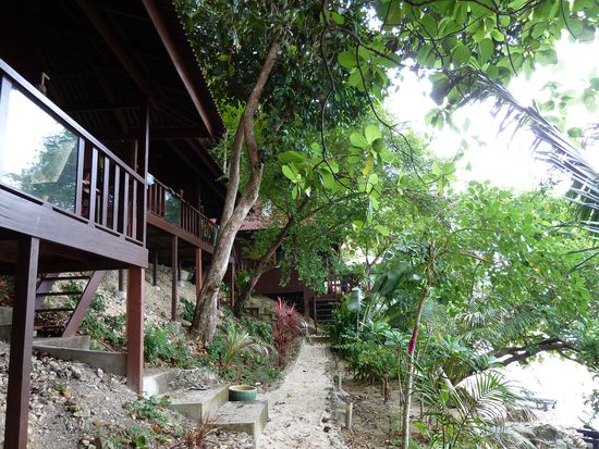 Unser Häuschen auf Stelzen, direkt am Strand, leicht verdeckt durch üppige Vegetation