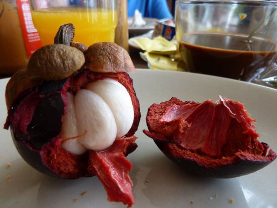 Die Queenfruit. Sie vereint Aromen aller Früchte. Banane, Kiwi, Mango, Melone.......