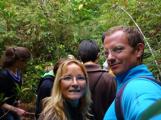 Und hinein ins grüne Dickicht!!