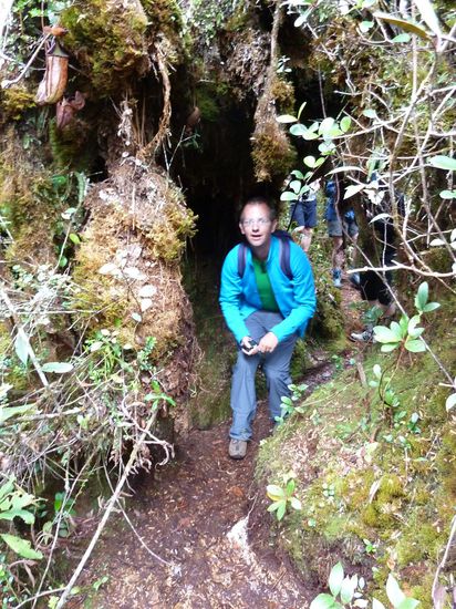 Wo ist das Vögelchen?