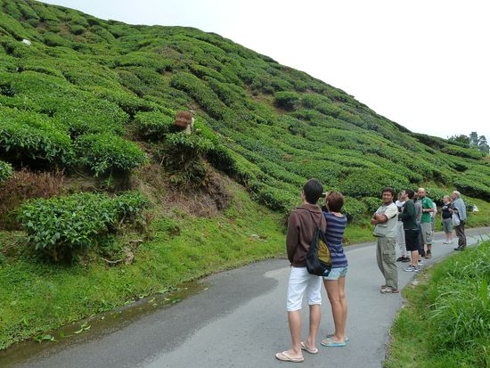 mit Kamera bewaffnete Touris unten