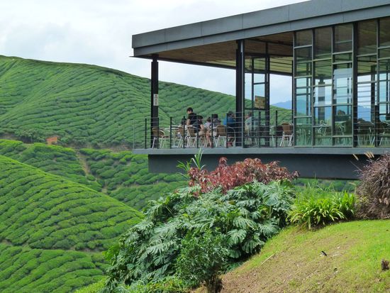 Anschließend nippten wir im Cafe überm Hang selbst noch an einer Tasse Tee.